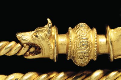 Velmi důležitá lýtková kost válečníka, detail od Celtic