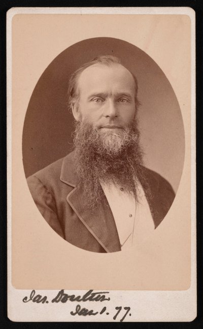 Portrét Jamese Doultona, 1877. od Centennial Photographic Company