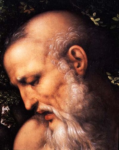Sv. Jeroným, detail hlavy světce (olej na desce) (detail 112517) od Cesare da Sesto
