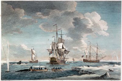 Grónský rybolov, vyryl John Boydell (1719-1804) 1754 (barevná rytina) od Charles (after) Brooking