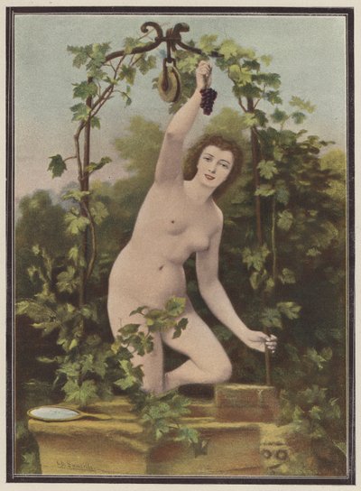 Woman picking grapes from a vine (colour litho)   1322023   cs       czech Successfully Translated  Original: To kvindehoveder Translat: To kvindehoveder 1268557 cs czech Successfully Translated Original: Portret van Johannes van der Meer de Oude, in lauwe od Charles (after) Landelle