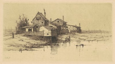 Chatrče na Harlemu od Charles A. Platt