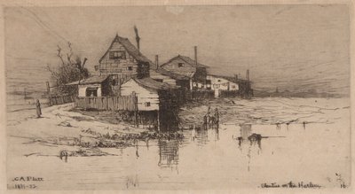 Chatrče na Harlemu od Charles A. Platt