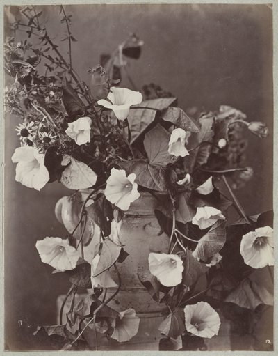 Bloemstudie met Keulse pot   1371906   cs       czech Successfully Translated  Original: Eva en de slang Translat: Eva en de slang 1378518 cs czech Successfully Translated Original: Four-armed Maitreya Translat: Four-armed Maitreya 1305422 cs czech Success od Charles Aubry (manner of)