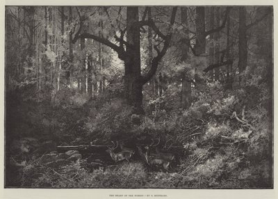 Srdce lesa od Charles Auguste Loye