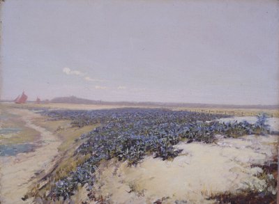 Duny pokryté květinami (olej na plátně) od Charles Augustus Lasar