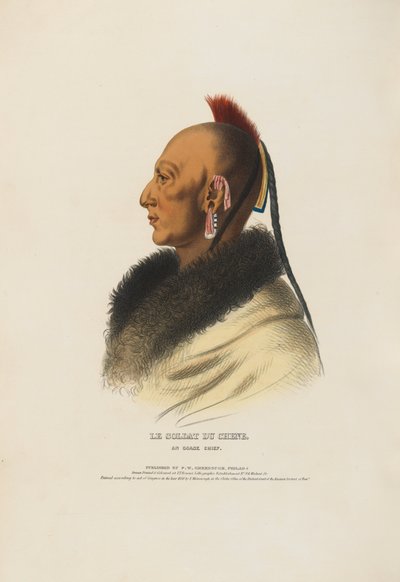  od Charles Balthazar Julien Févret de Saint-Mémin