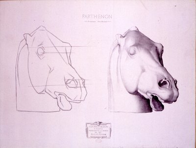 Koňská hlava ze západního štítu Parthenonu, deska 47 z Cours de Dessin, kolem roku 1898 od Charles Bargue