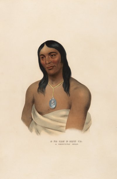 A-na-cam-e-gish-ca od Charles Bird King