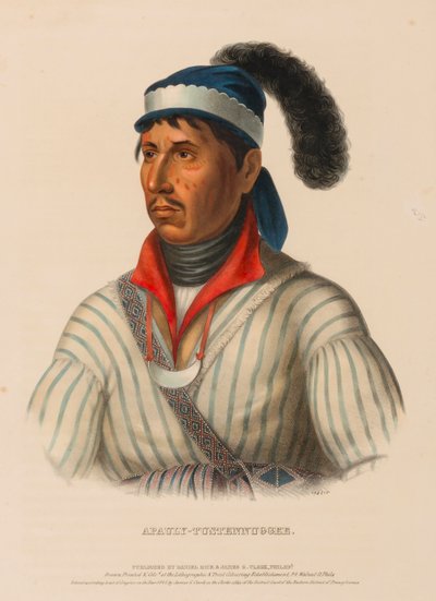 APAULY-TUSTENNUGGEE., z knihy Dějiny indiánských kmenů Severní Ameriky. od Charles Bird King