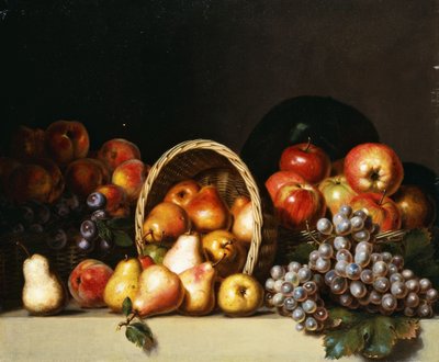 Jablka, hrušky, švestky a hrozny, od Charles Bird King