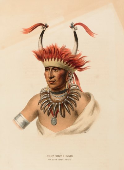CHON-MON-I-CASE. OTTO HALF CHIEF, z knihy Dějiny indiánských kmenů Severní Ameriky od Charles Bird King