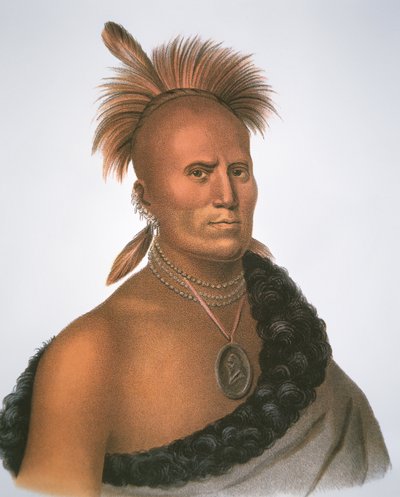 Náčelník šaritarský od Charles Bird King
