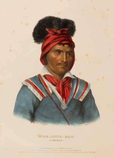 FOKE-LUSTE-HAJO. A SEMINOLE., z knihy Dějiny indiánských kmenů Severní Ameriky od Charles Bird King