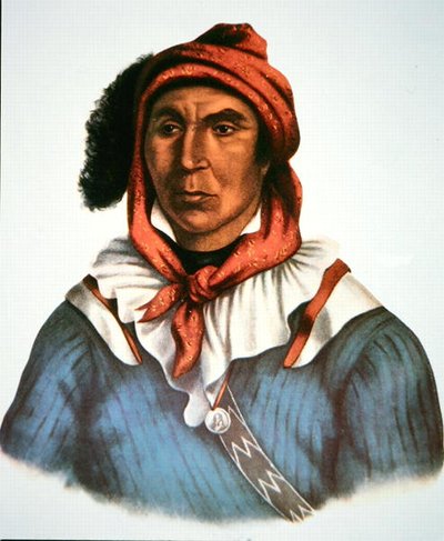 Julcee Mathla od Charles Bird King