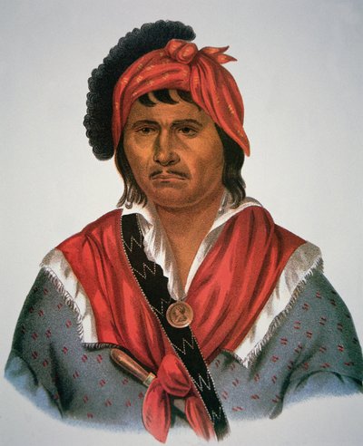 Náčelník Neamathla od Charles Bird King