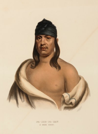 PA-SHE-PA-HAW. A SAUK CHIEF., z knihy Dějiny indiánských kmenů Severní Ameriky. od Charles Bird King