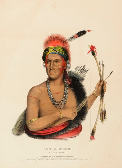 POW-A-SHEEK. LIŠČÍ ŠÉF. od Charles Bird King
