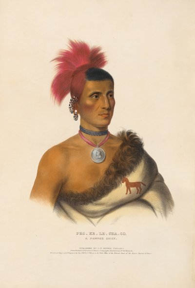  od Charles Bird King