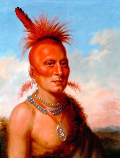 Šaritariš (Zlý náčelník), Pawnee od Charles Bird King