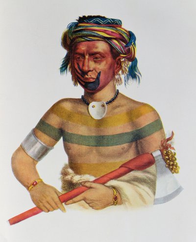 Shau-Hau-Napo-Tinia, náčelník z Iowy, 1837, ilustrace z 