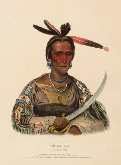 TO-KA-CON. A SIOUX CHIEF., z knihy Dějiny indiánských kmenů Severní Ameriky. od Charles Bird King