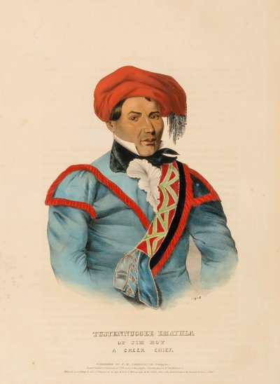 TUSTENNUGGEE EMATHLA, z knihy Dějiny indiánských kmenů Severní Ameriky od Charles Bird King