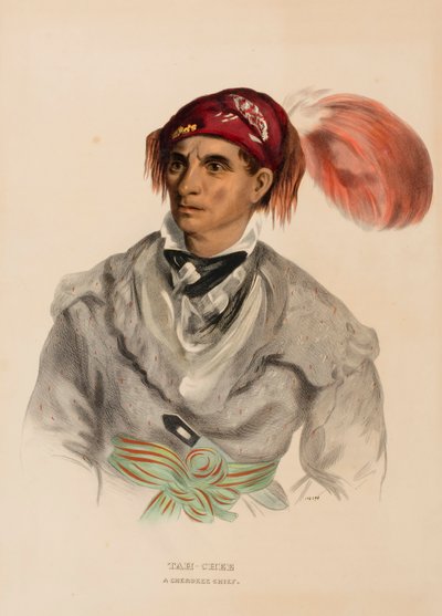 Tah-Chee (Dutch), náčelník Čerokíjů, z knihy Dějiny indiánských kmenů Severní Ameriky od Charles Bird King