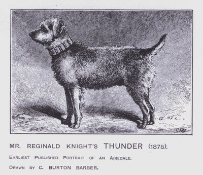 Hrom pana Reginalda Knighta od Charles Burton (after) Barber