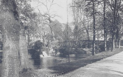 Bordeaux: Jardin-Public, Rustikální most (čb fotografie) od Charles Chambon