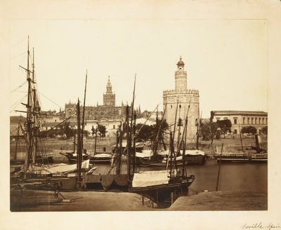 Katedrála, Torre del Oro a řeka Guadalquivir, Sevilla od Charles Clifford