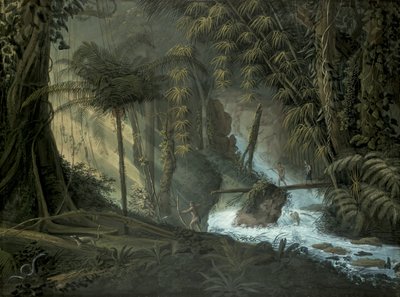 Brazilský les od Charles Comte de Clarac