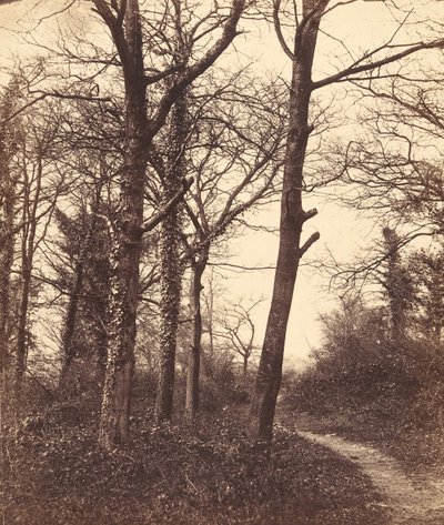 Zima, 1855. od Charles Conway