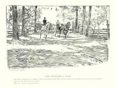 Její obrovský strach (litografie) od Charles Dana Gibson