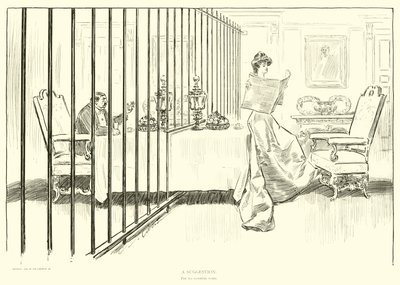 Ilustrace pro The Social Ladder od Charles Dana Gibson
