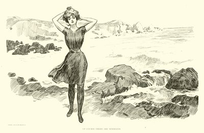 Ilustrace pro The Social Ladder od Charles Dana Gibson
