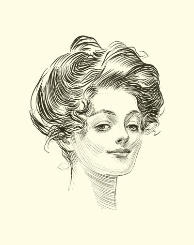 Ilustrace pro The Social Ladder od Charles Dana Gibson