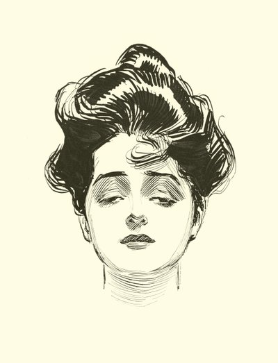 Ilustrace pro The Social Ladder od Charles Dana Gibson