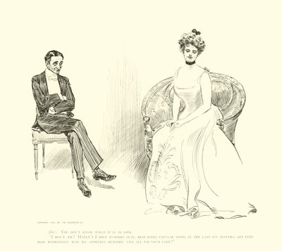 Ilustrace pro The Social Ladder od Charles Dana Gibson