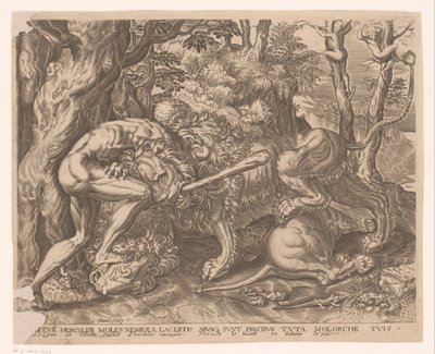 Herkules drží nemejského lva v sevření Labors of Hercules po Frans Floris (název série) od Charles David