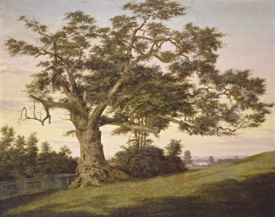The Charter Oak od Charles de Wolf Brownell