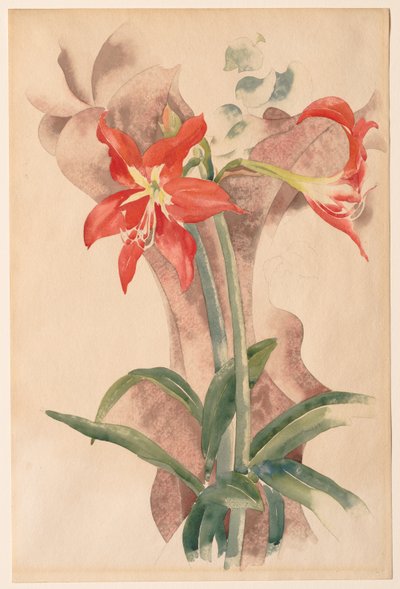 Amarylis od Charles Demuth