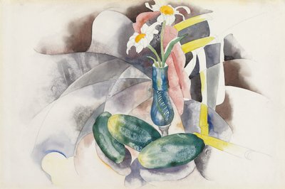 Květiny a okurky, cca 1924 (akvarel a tužka na papíře) od Charles Demuth
