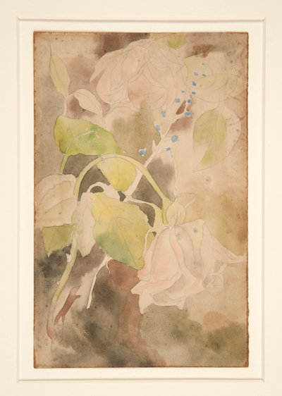 Broskvová růže od Charles Demuth