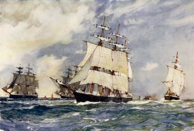 Plachetní výcviková eskadra, 1899 od Charles Edward Dixon
