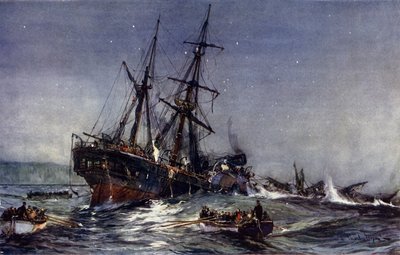 The Wreck of the Birkenhead, 1852 od Charles Edward Dixon