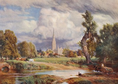 Katedrála v Salisbury (barevná litografie) od Charles Edward Johnson