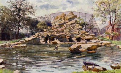 Londýnská zoo: Lachtanův rybník (barevné lito) od Charles Edwin Flower