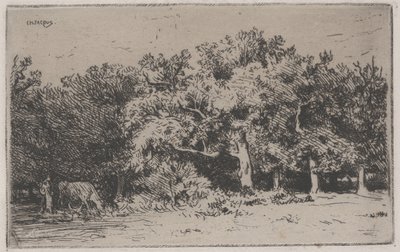 Koutek lesa Fontainebleau (lept) od Charles Emile Jacque