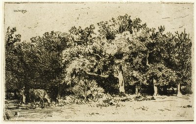 Část lesa Fontainebleau od Charles Emile Jacque